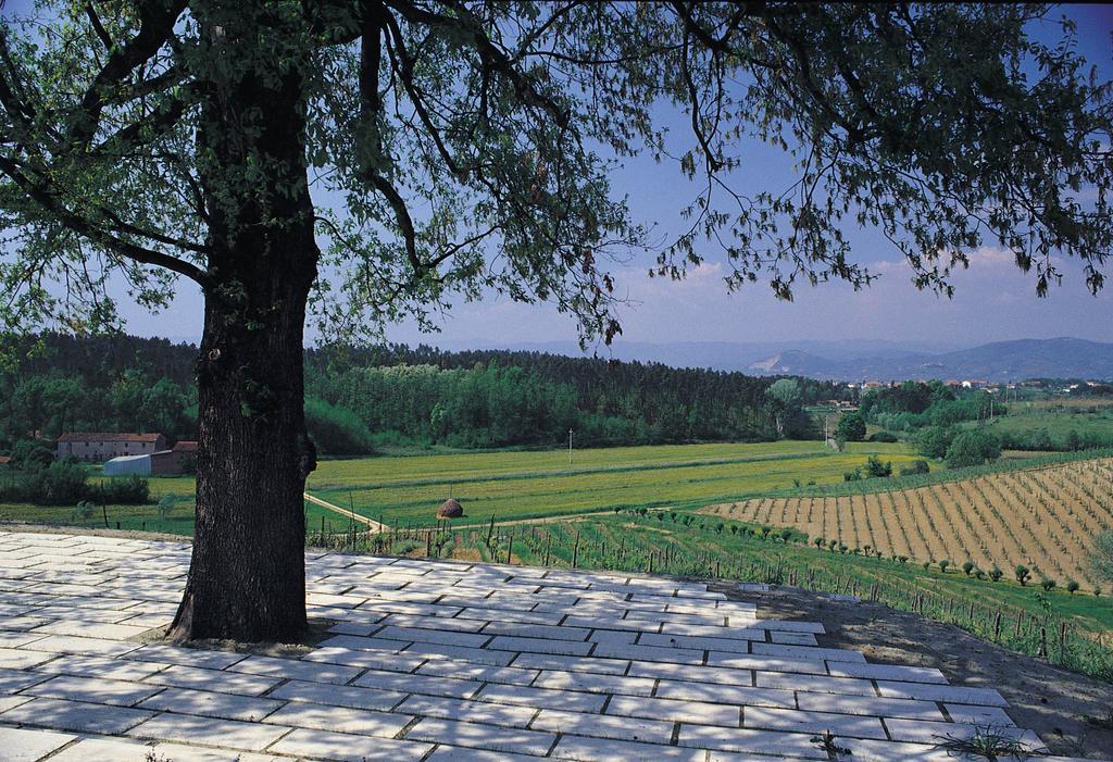 Agriturismo Le Due Querce Lazzeretto Kültér fotó